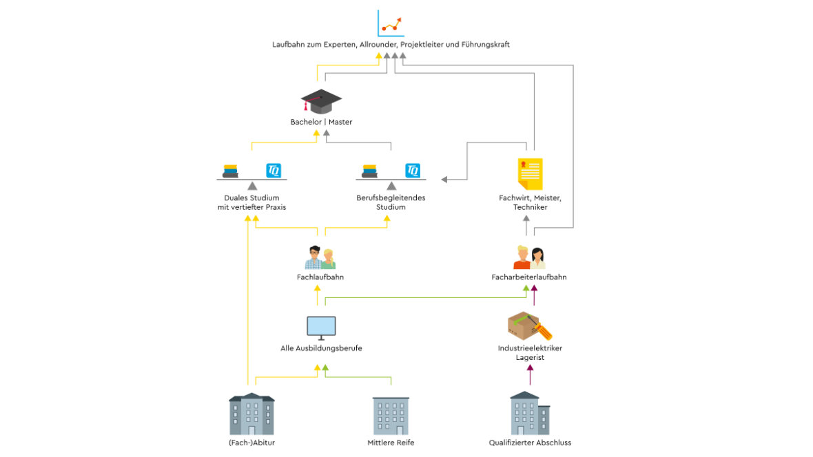 Infografik eines Karriereweges bei TQ